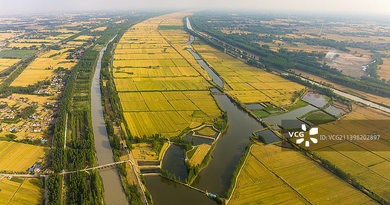 苏北平原金色的麦田图片素材