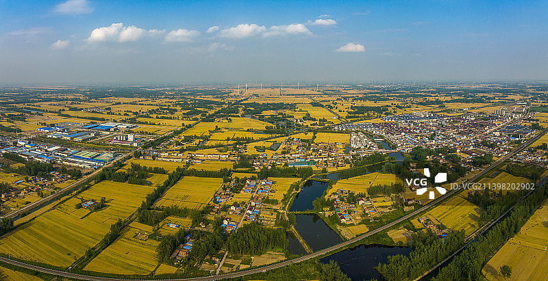 苏北平原金色的麦田图片素材
