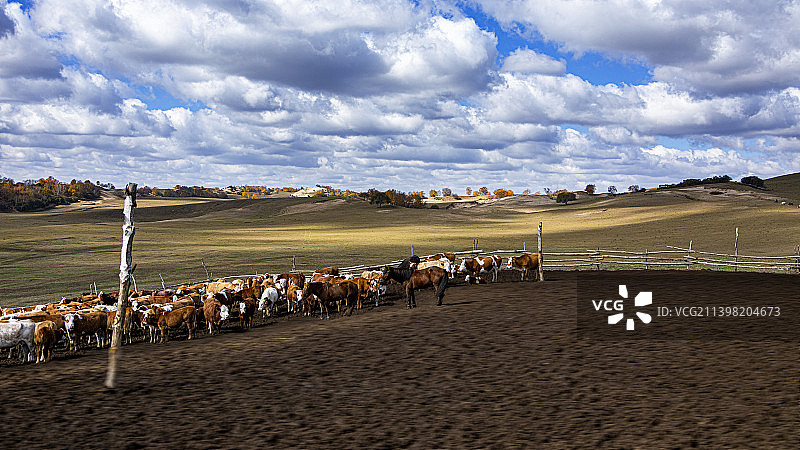 内蒙风光图片素材