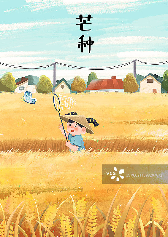 二十四节气——芒种图片素材