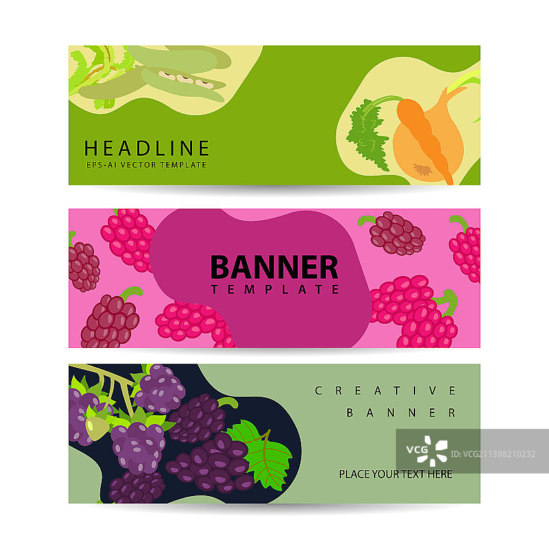 浆果banner和蔬菜背景设计图片素材