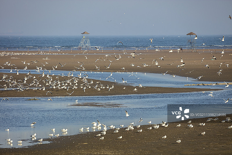 河北省秦皇岛海景图片素材