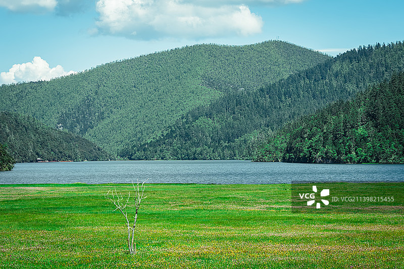 普达措碧塔海图片素材