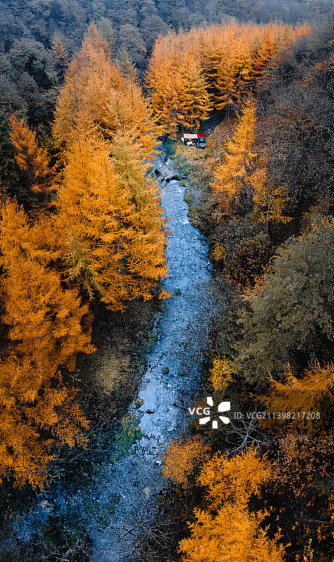 汉中秦岭原始森林自驾露营图片素材