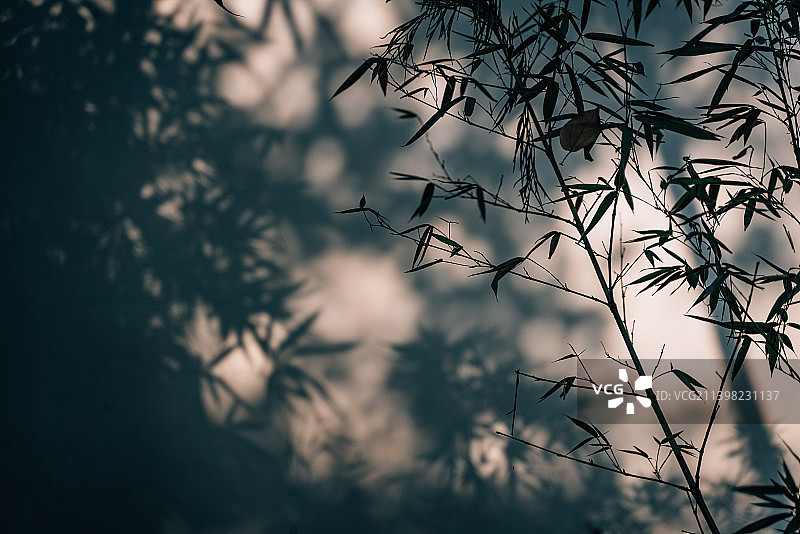 杜甫草堂图片素材