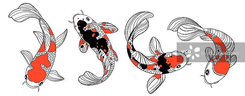 锦鲤彩色绘画图片素材