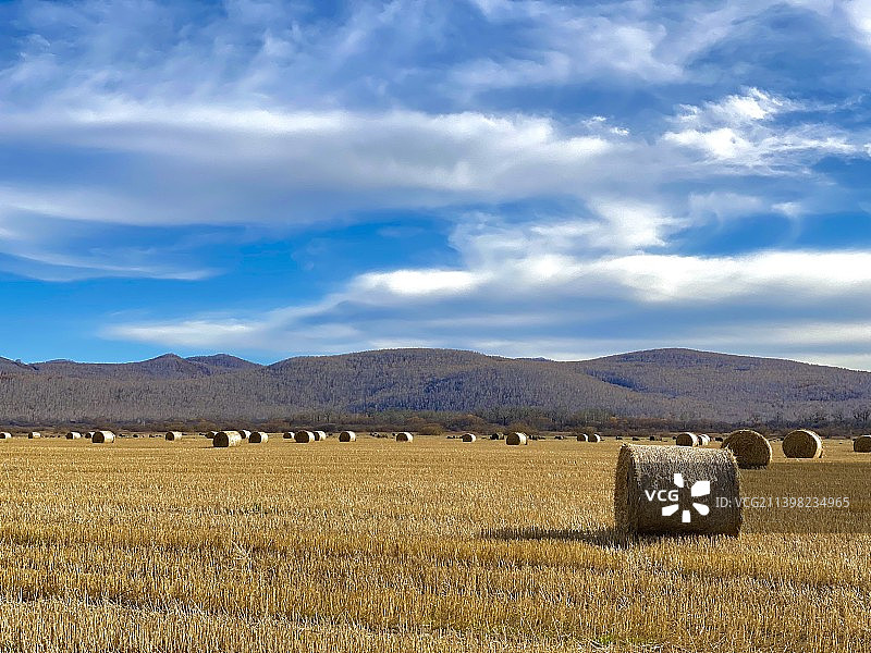 金秋的呼伦贝尔大草原图片素材