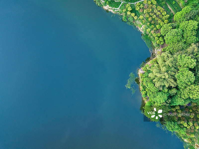 蒙顶山 名山 月亮湖 竹叶青 核心产区 明前茶图片素材