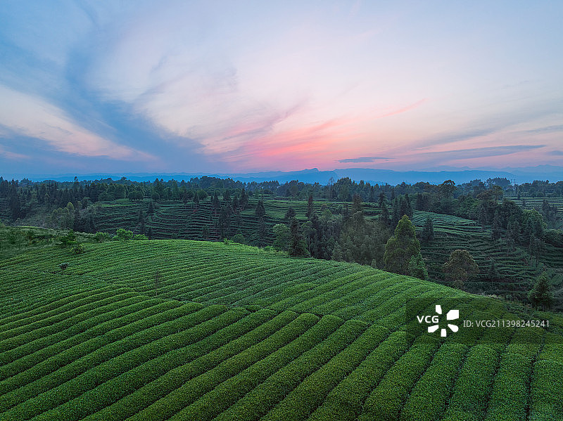 高视角无人机航拍 傍晚日落火烧云蒙顶山 名山 竹叶青 核心产区 月亮湖图片素材