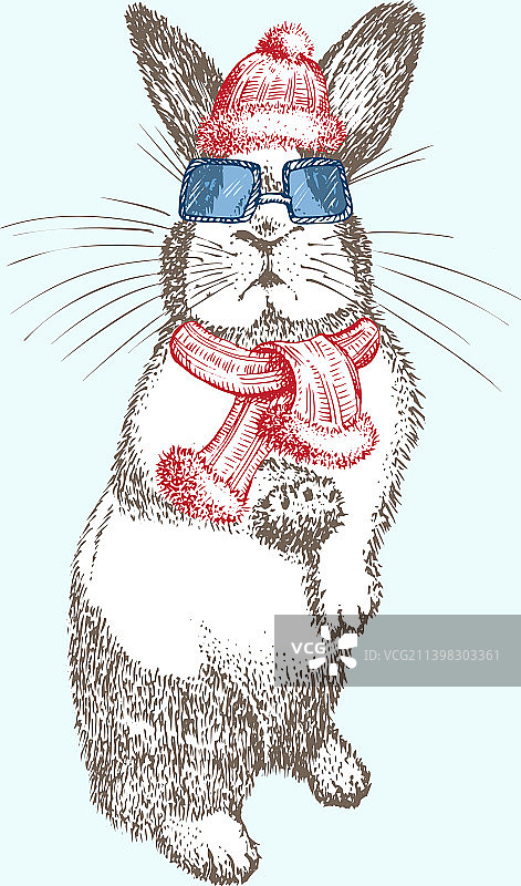 手绘戴红色冬季帽子围巾的兔子图片素材