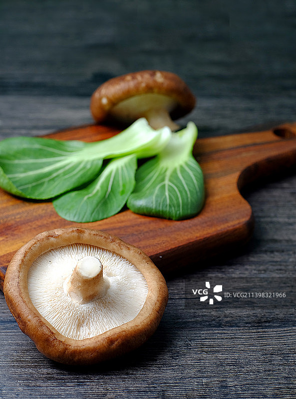 香菇油菜食材图片素材
