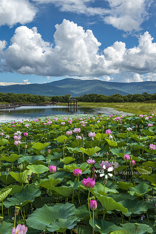 黑瞎子岛风光图片素材