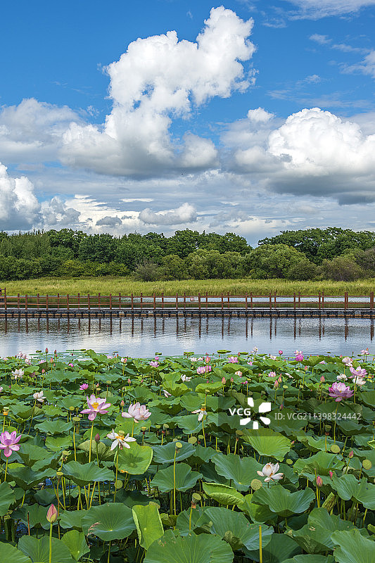 黑瞎子岛风光图片素材