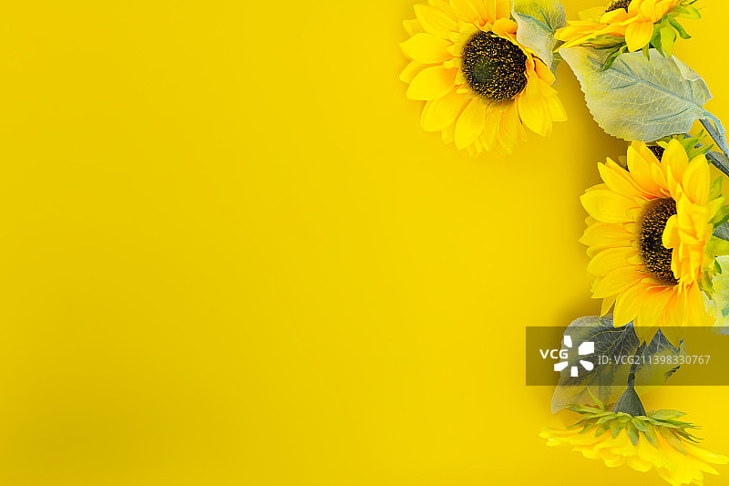 向日葵花背景素材图片素材