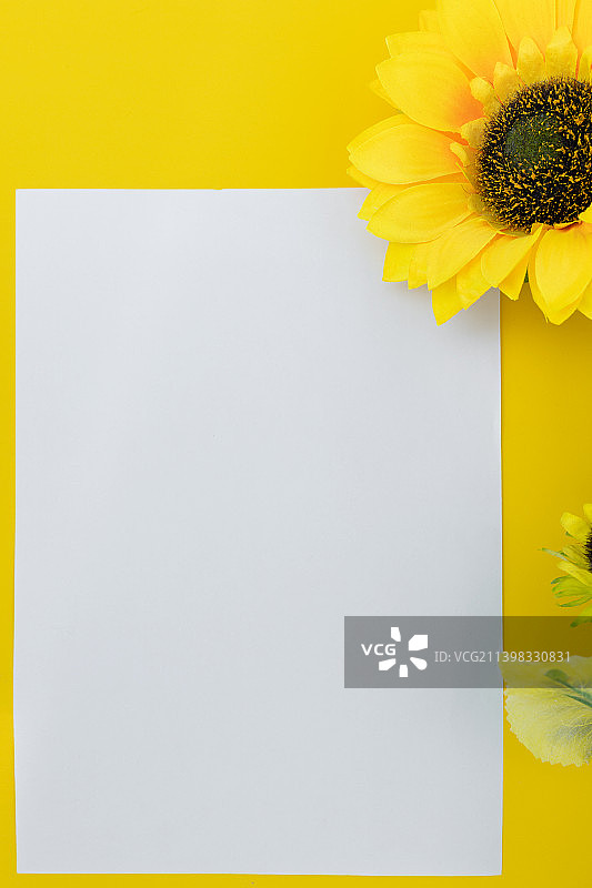 向日葵花背景素材图片素材