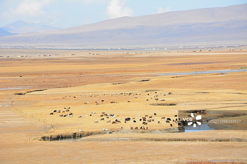 草原秋天图片素材