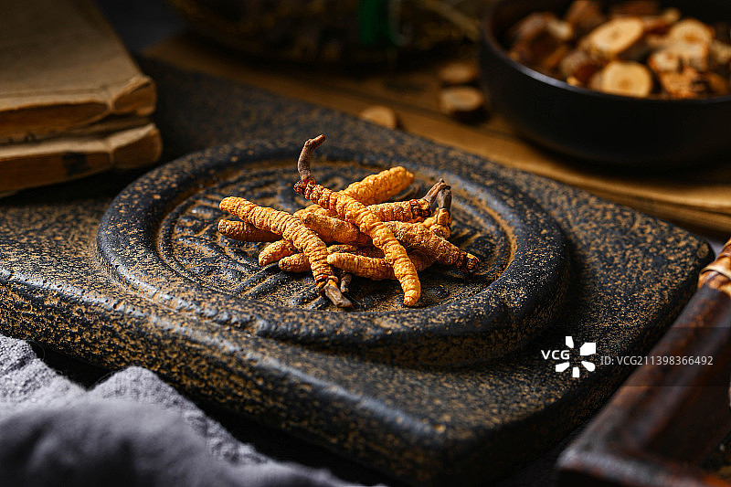 冬虫夏草图片素材