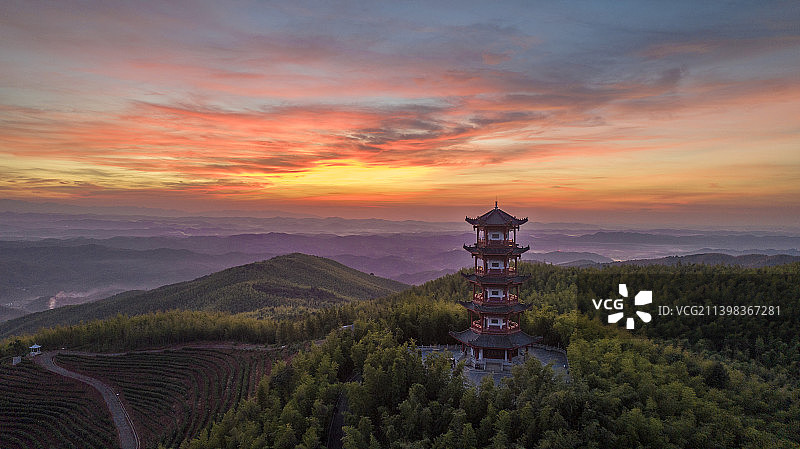 湖南耒阳市蔡伦竹海图片素材