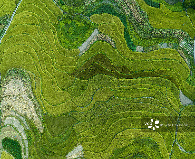 航拍陕西安康凤堰古梯田图片素材