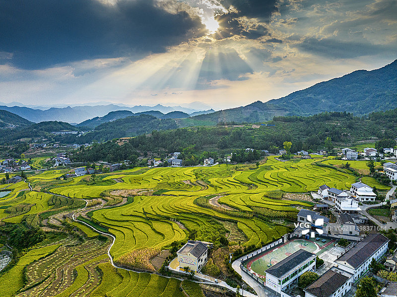 夕阳下面稻花香图片素材