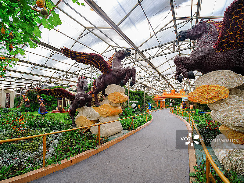 中国山东潍坊寿光菜博会8号馆景观“以梦为马，不负韶华”图片素材