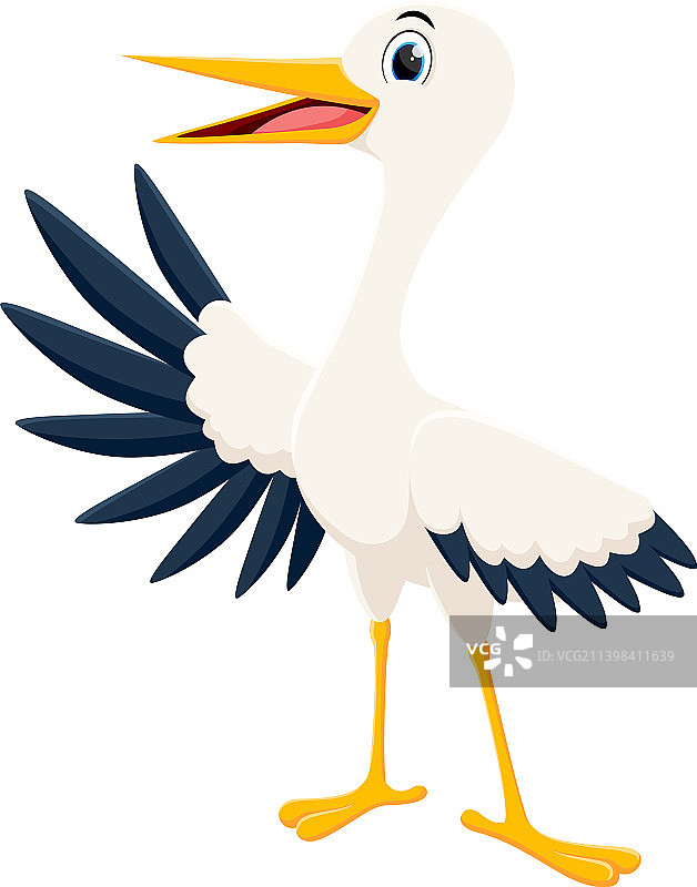 快乐的鹳鸟站在白色背景上图片素材