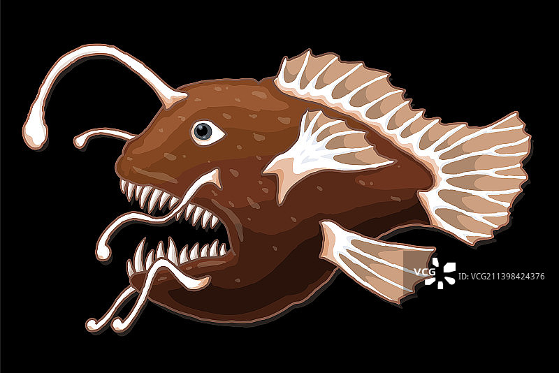 彩色棕色手绘安康鱼剪贴画图片素材