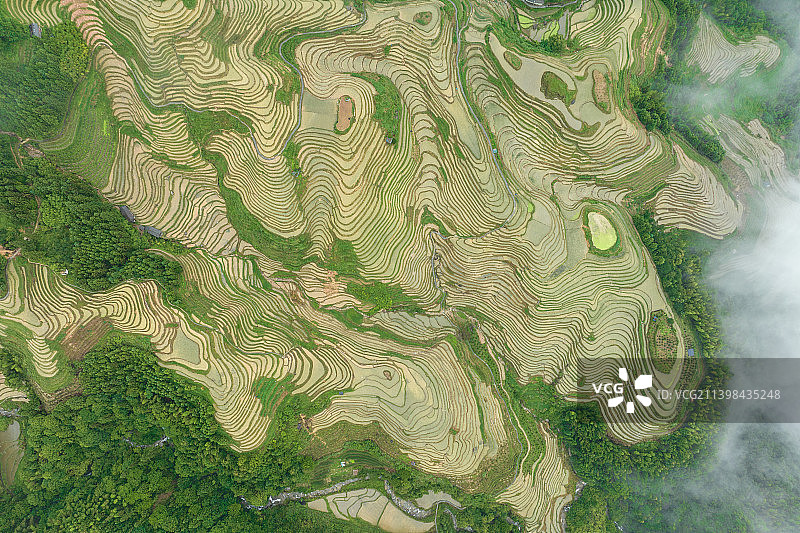 广西壮族自治区桂林市龙胜县龙脊山龙脊梯田图片素材