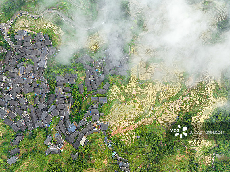 广西壮族自治区桂林市龙胜县龙脊山龙脊梯田图片素材