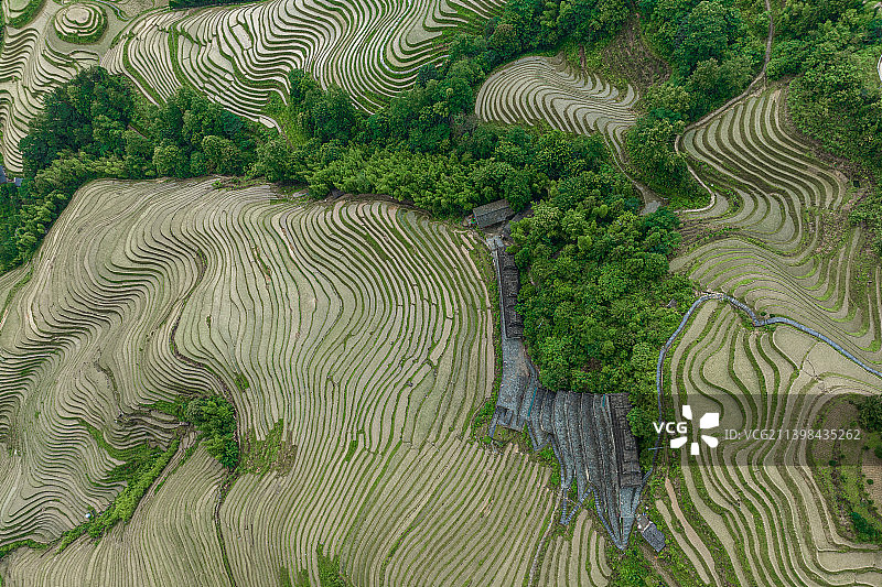 广西壮族自治区桂林市龙胜县龙脊山龙脊梯田图片素材