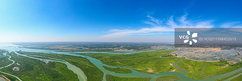 湛江，高桥红树林图片素材