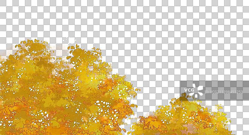 秋季树叶素材图片素材