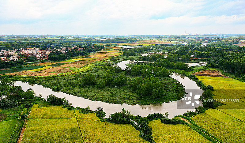 湛江，遂溪官田，红树林带图片素材