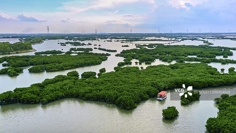 湛江，红树林旅游图片素材