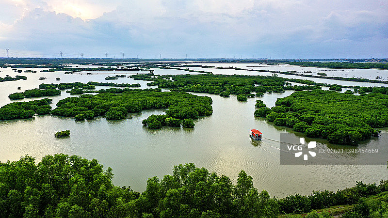 湛江，红树林旅游图片素材