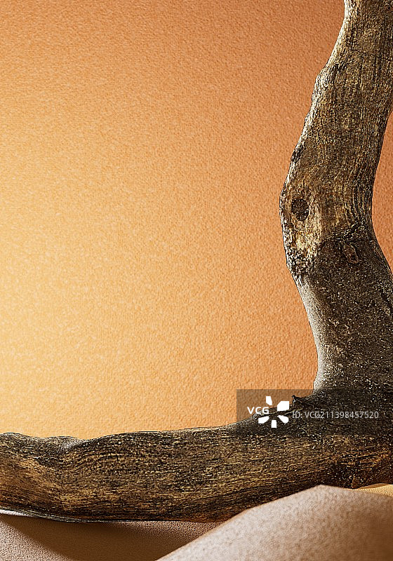 iDSTORE-3D渲染自然系列护肤美妆香水产品展示背景图片素材