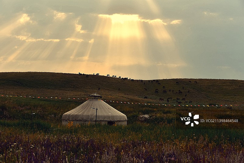 草原牧歌图片素材