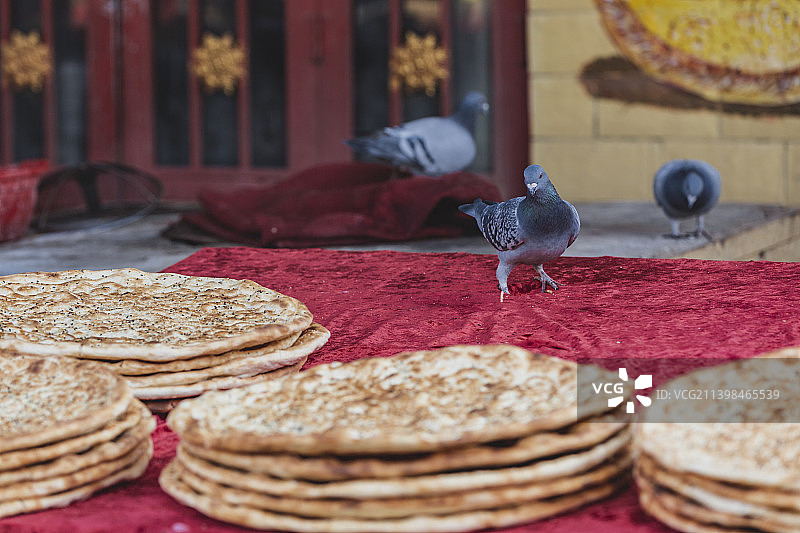 鸽子与馕图片素材