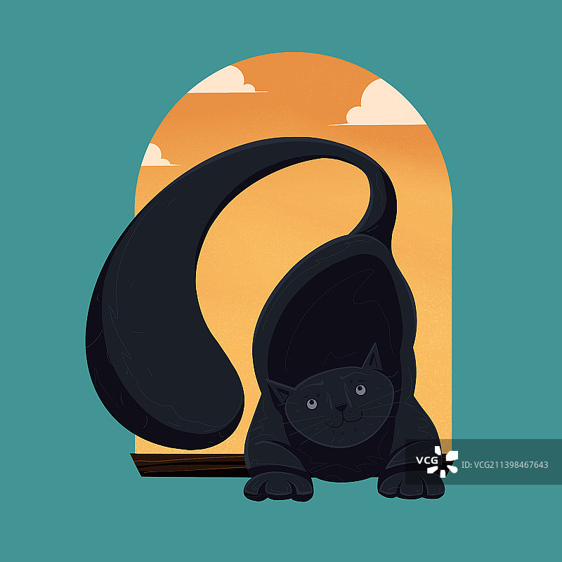 午后猫咪图片素材