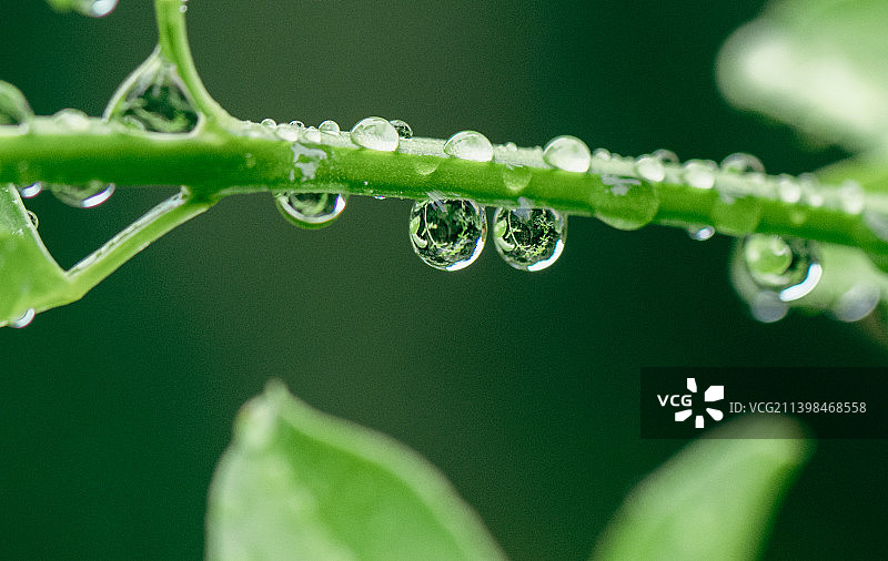 雨后微露图片素材