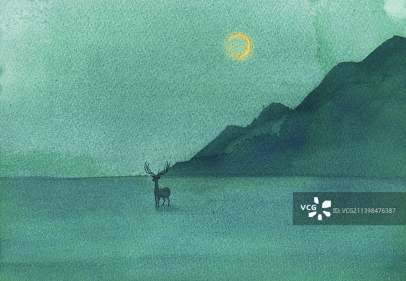 月光下的小鹿图片素材