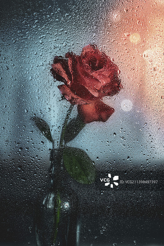 一场秋雨寒更浓图片素材