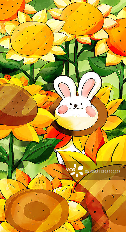 5月向日葵图片素材