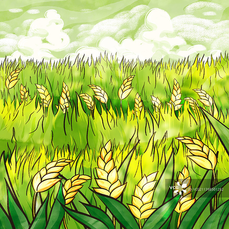 麦田风景插画图片素材