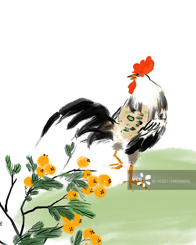 秋天季节植物果实插画图片素材