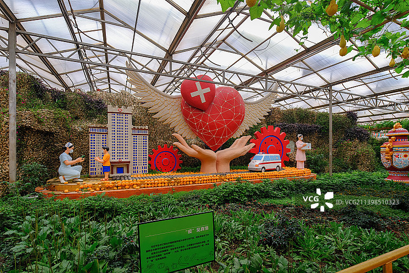 中国山东潍坊寿光菜博会8号馆景观“疫见真情”图片素材