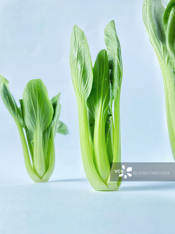静物 青菜图片素材