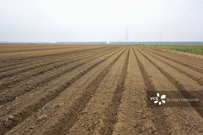 整理成一垄垄的土地图片素材