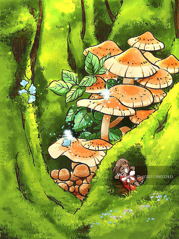 蘑菇森林，治愈系插画图片素材