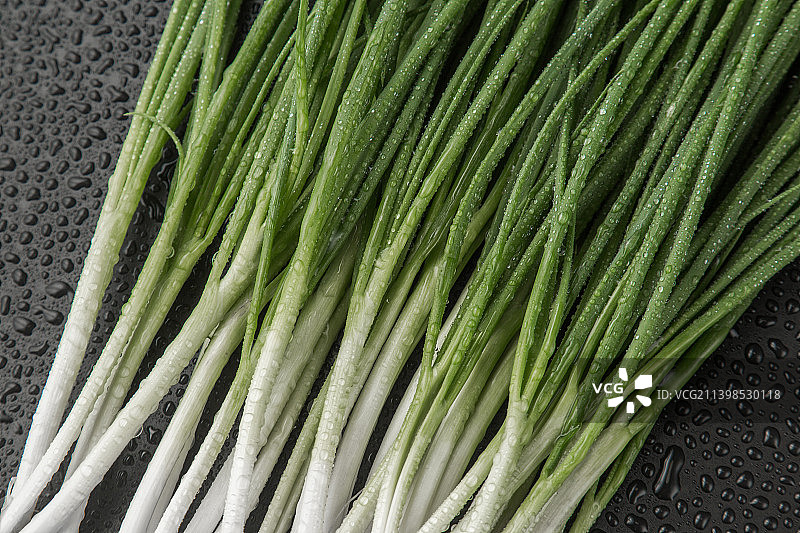 小葱图片素材
